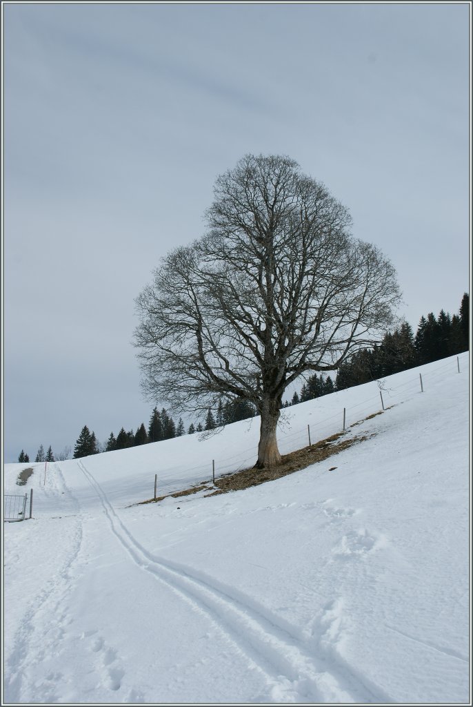 Noch ist im Berner Oberland Winter - doch der Frhling naht. 
04.03.2011