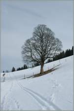 Noch ist im Berner Oberland Winter - doch der Frhling naht.